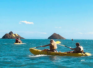 Meet your Posher, Elsa